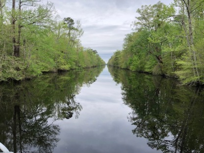 Dismal Swamp4 Reflective Waters